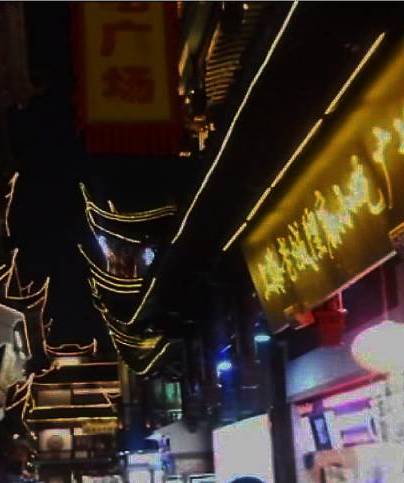 上海市の豫園